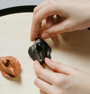 curiosidades sobre o clitóris